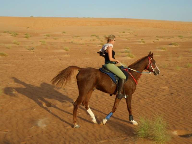 horse riding holiday in Oman