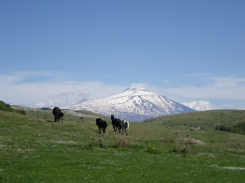 horseback ride in sicily