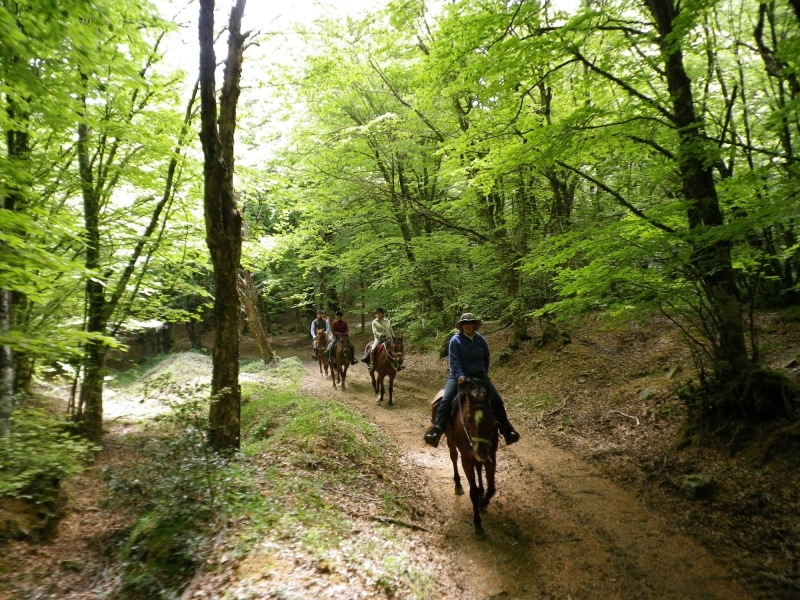 horse ride italy