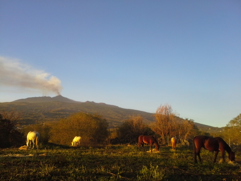 horseback trail ride in italy