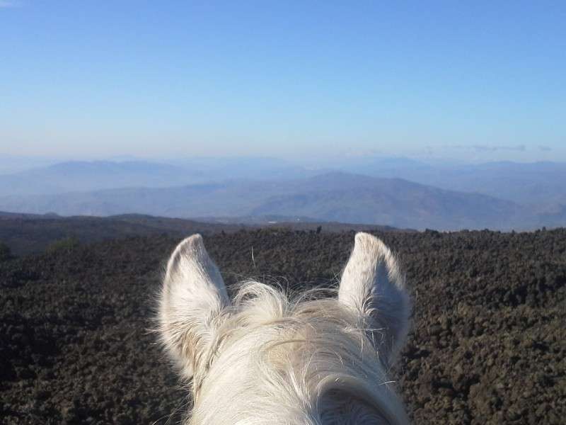 tour of the etna on horseback