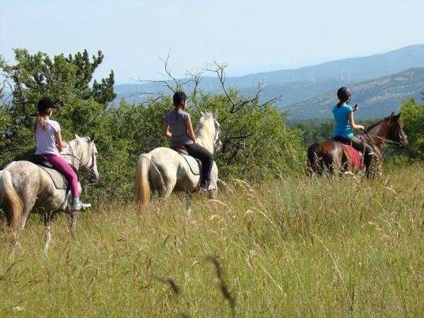 croatia horse riding