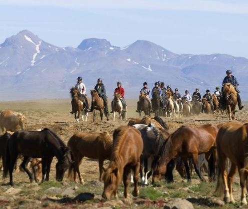 randonnee a cheval islande