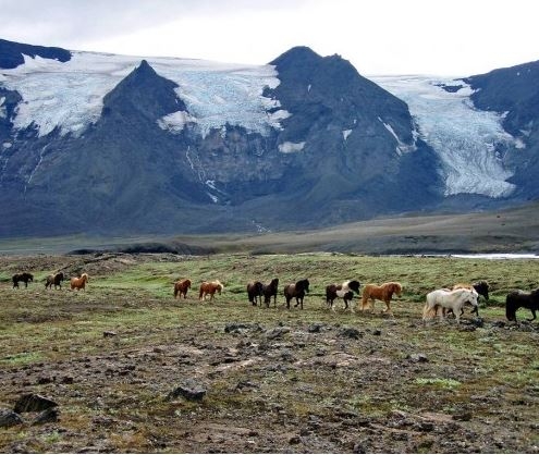 randonnee a cheval en islande