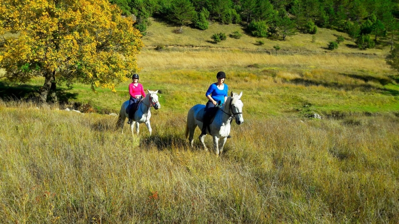 horse riding vacation croatia