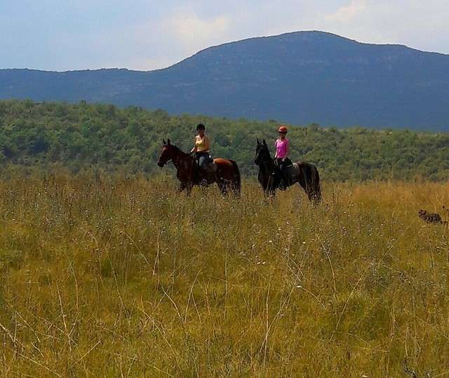 horse riding in croatia