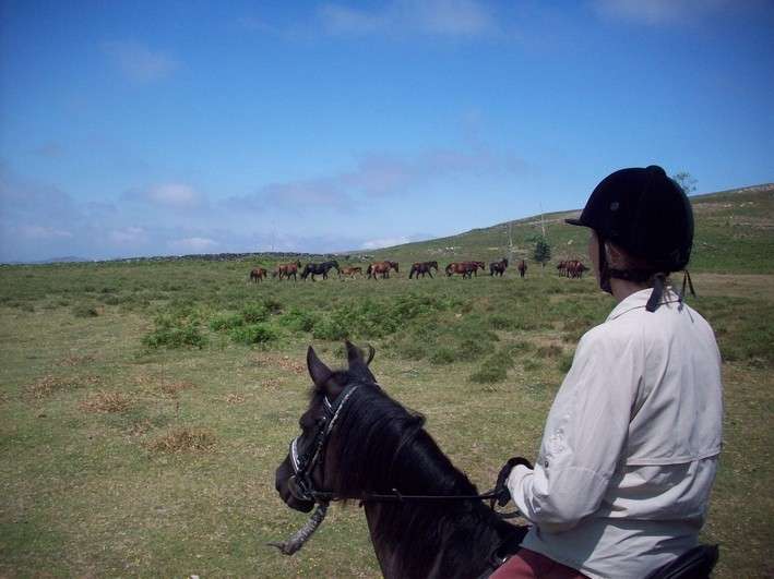 horseback riding in portugal