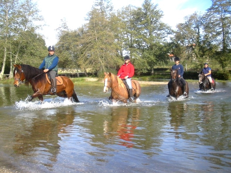 horse riding holiday in portugal