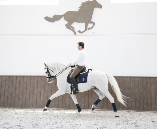 dressage clinic and holidays in Portugal