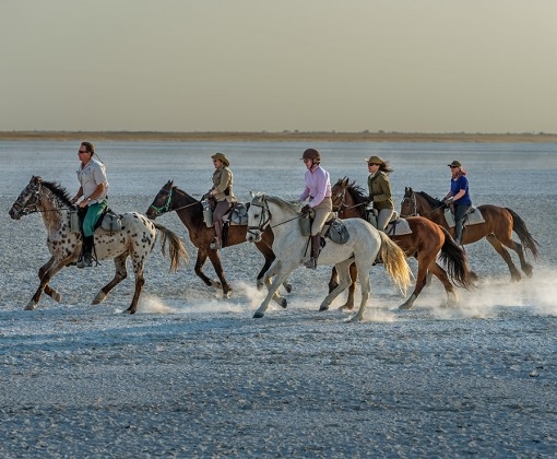 safari a cheval dans le kalahari