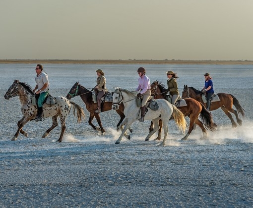 safari a cheval dans le kalahari