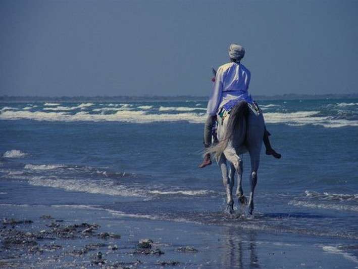 week horse riding holidays in Oman