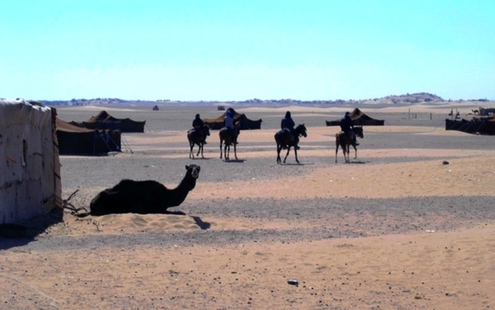 horse riding trip in morocco