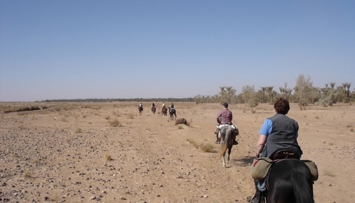 morocco horseback riding