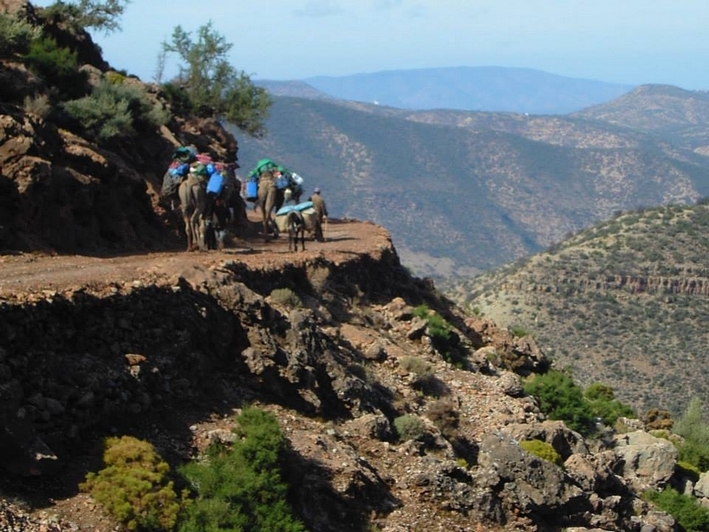 morocco horse riding