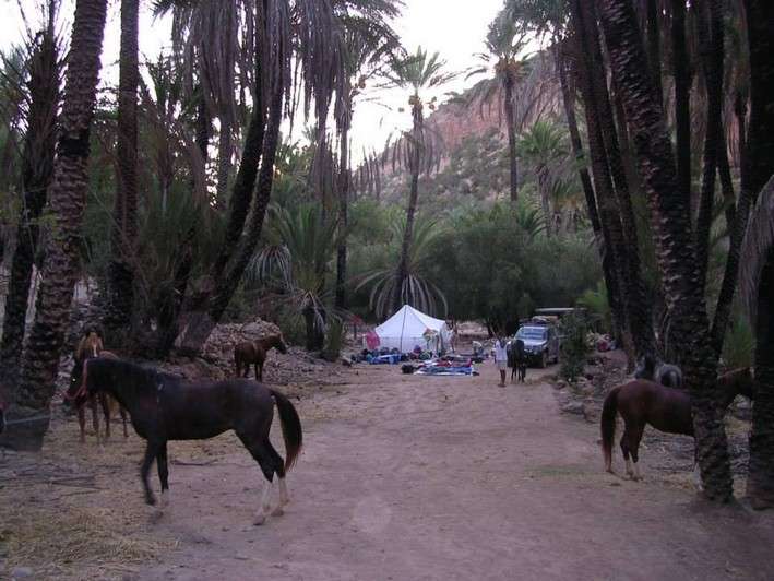 horseback riding trip in morocco