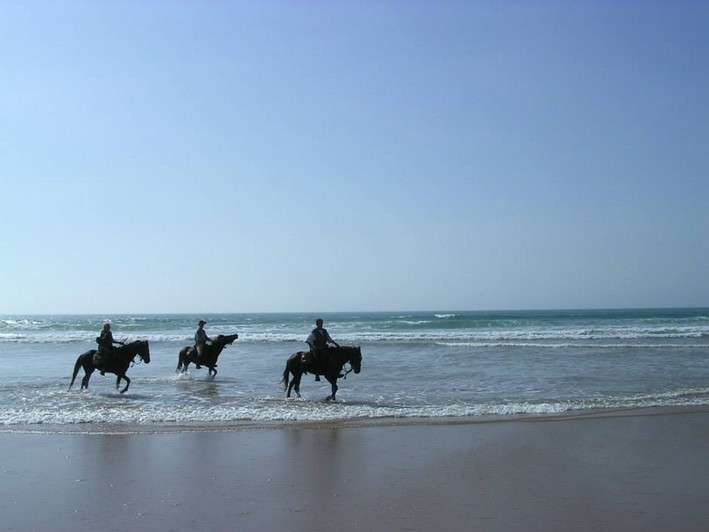 horse trail ride in morocco