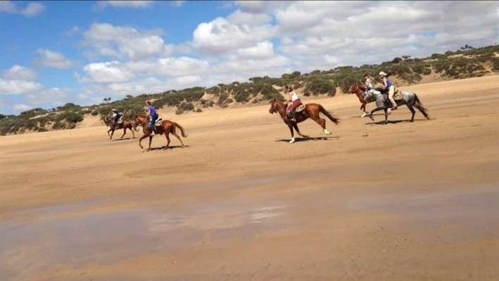 equestrian holiday in morocco