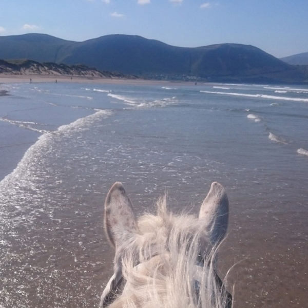 horse riding in ireland