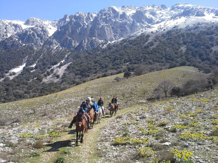 horse riding holidays in sicily