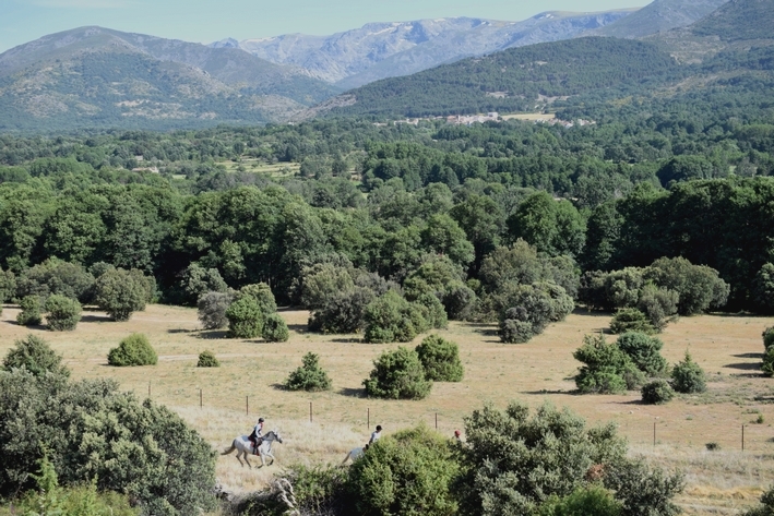 Horseback Trail Ride in SPAIN : THE SIERRA DE GREDOS & CASTLES