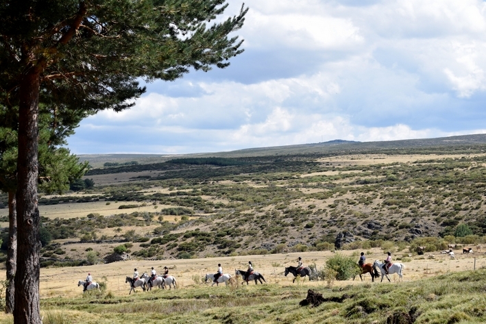 Horseback Trail Ride in SPAIN : THE SIERRA DE GREDOS & CASTLES