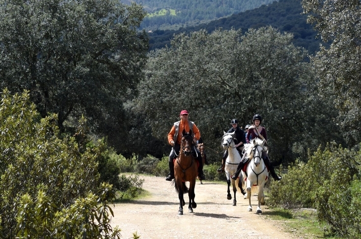 horseback trip spain