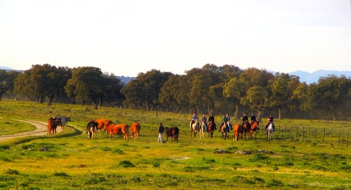 horse trail ride spain