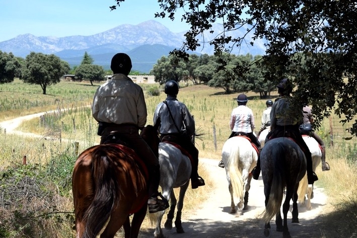 horse trail ride in spain