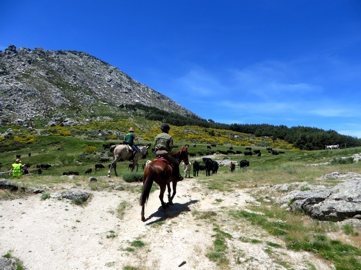 horseback holiday in spain