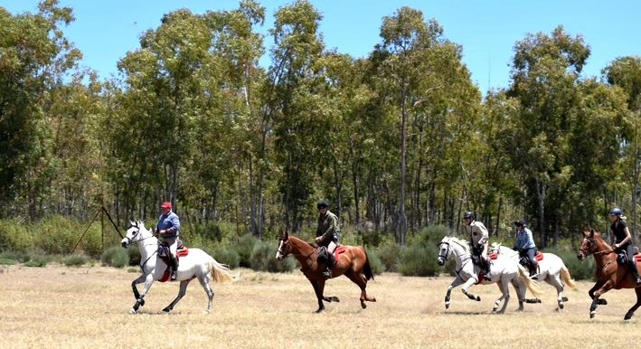 horse holiday in spain