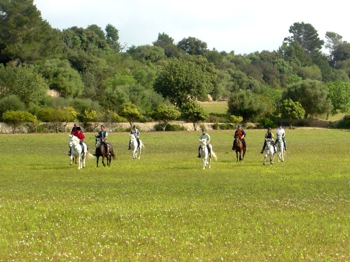 horse riding holiday in majorca