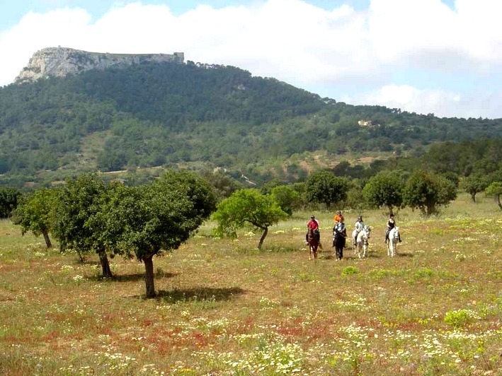 horse riding vacation in majorca