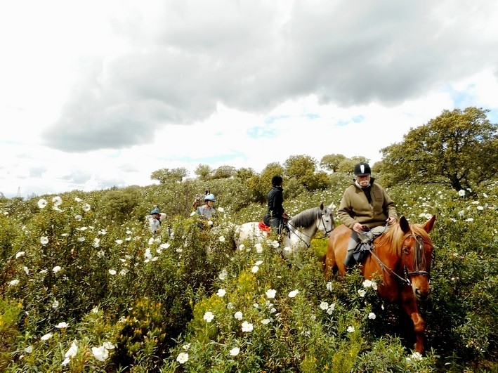 horse riding holiday in spain