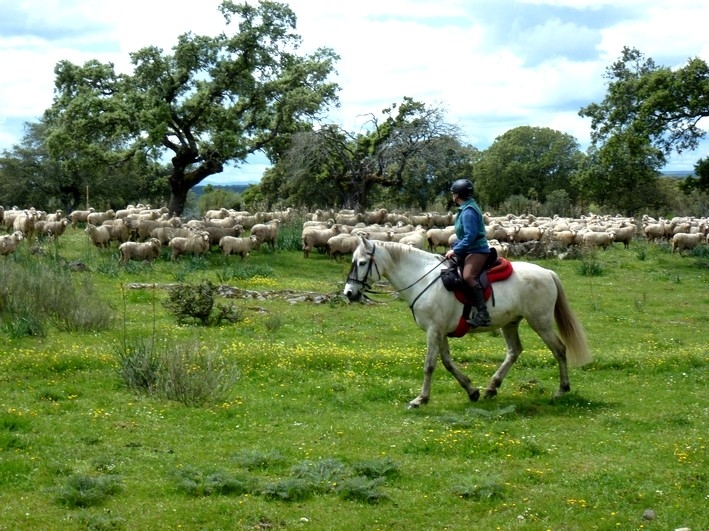 horse riding trail ride spain