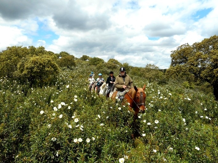 travel on horseback in spain