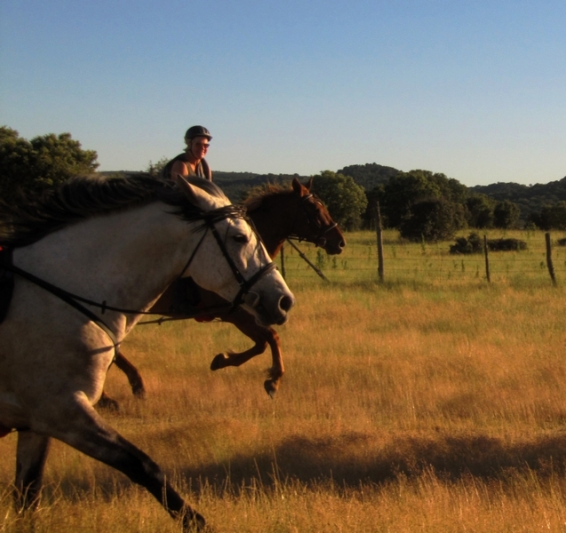 trip on horseback in spain