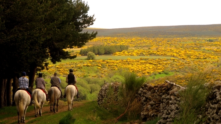 horseback riding trail ride in spain