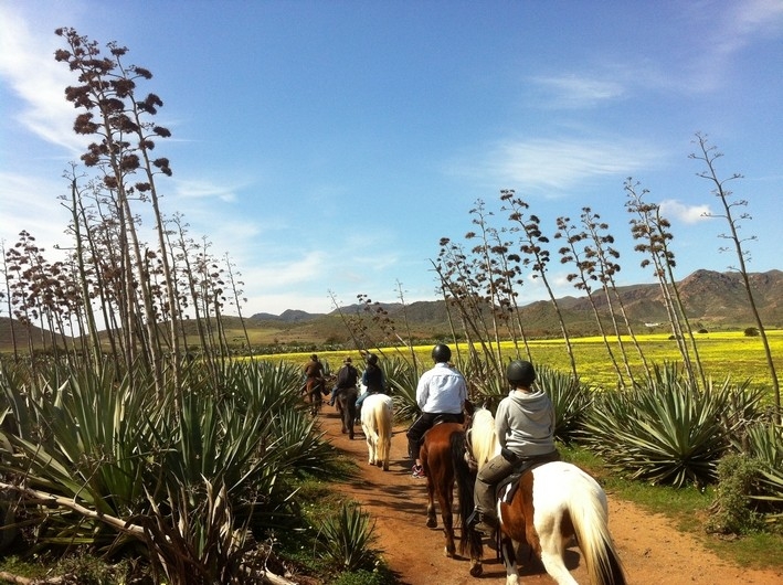 Week trail ride in Andalusia