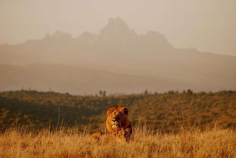 safari equestre Kenya