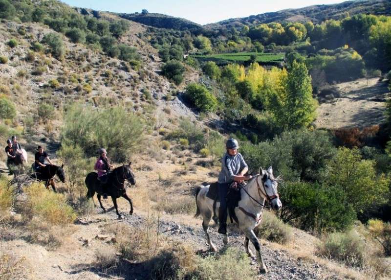 horse riding trip in andalusia