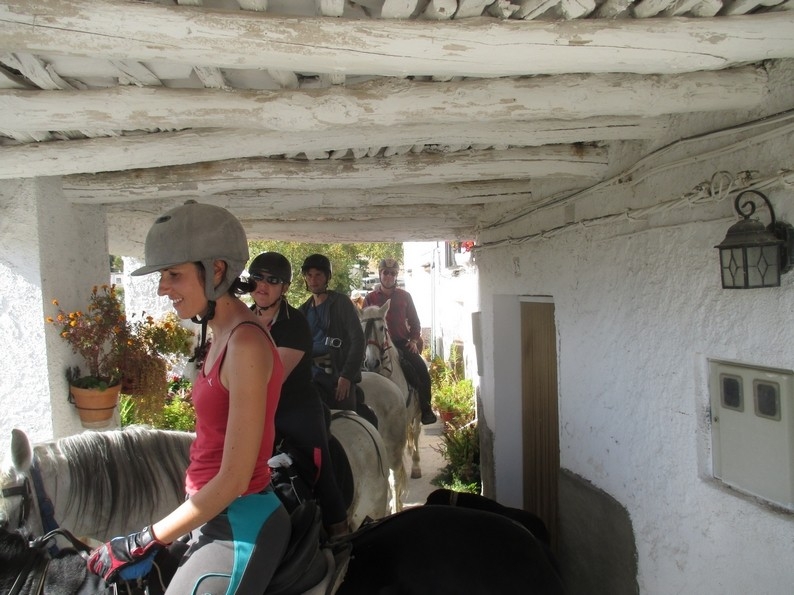 horseback trail ride andalusia