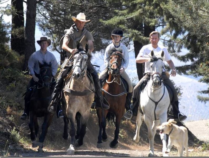 horse riding trail ride andalusia