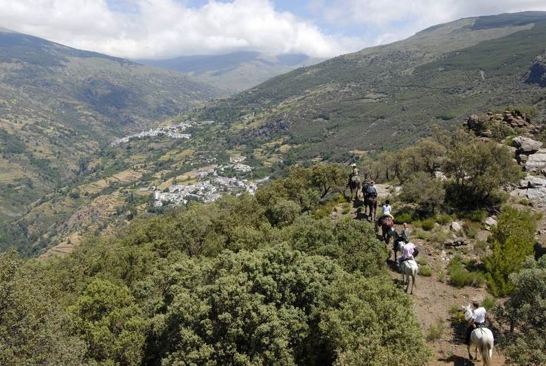 horse riding holidays andalusia