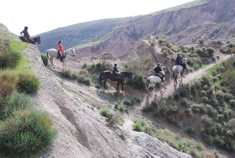 discover andalusia on horseback