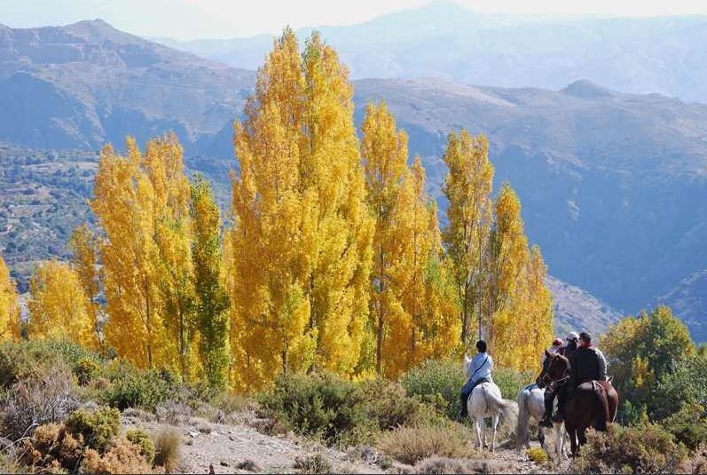 horseback tourism andalusia