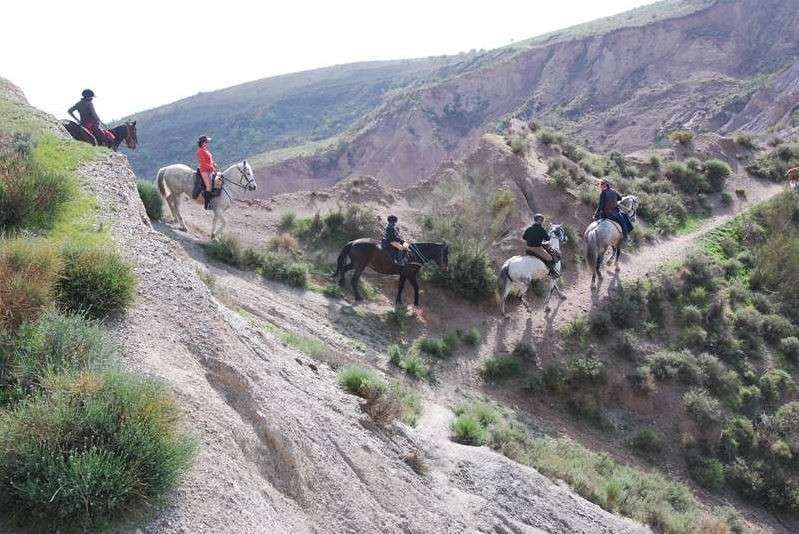 horseback trek in andalusia