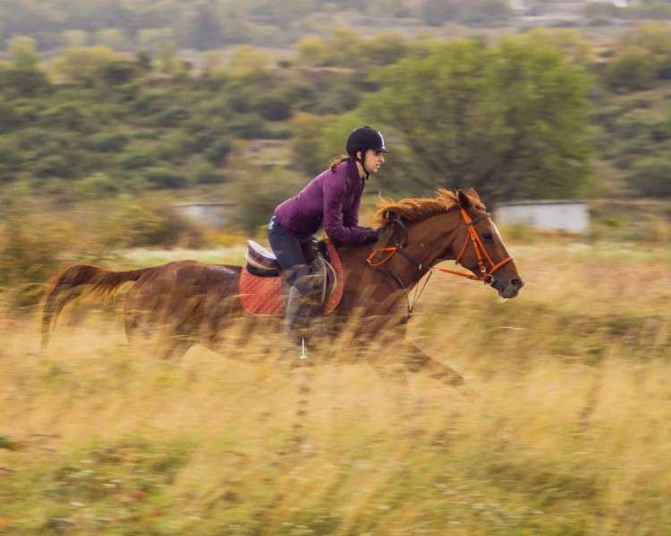horseback trail ride croatia