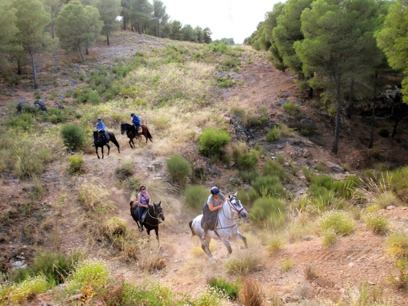 horse riding andalusia