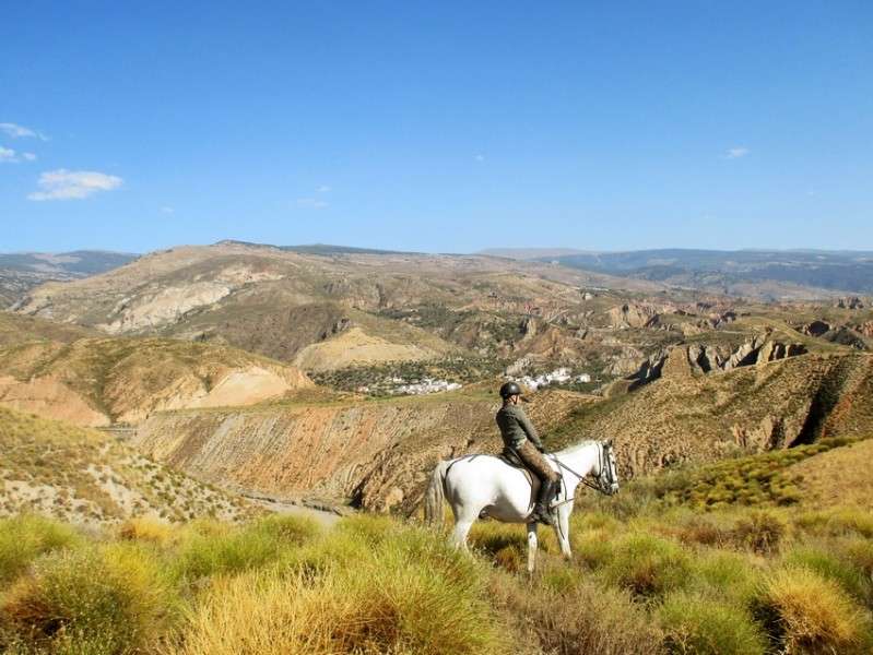horseback trail ride in andalusia